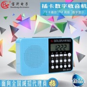 宝升 BS-2613 FM调频便携式 fm创意礼品插卡评书收音机 厂家批发