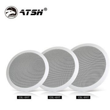爱特声atsh 壁挂音响