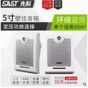 SAST/先科 d45壁挂音响 校园公共广播系列背景音乐喇叭定压定阻