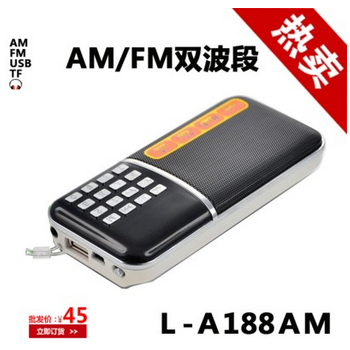 厂家直销 L-188AM双波段AM FM音箱立体声 双波段收音机 双插卡