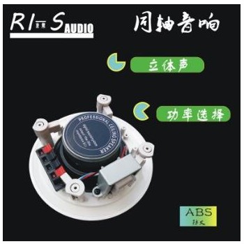 RI-S(源声）20W同轴天花吸顶喇叭 智能家居吸顶音箱