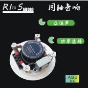 RI-S(源声）20W同轴天花吸顶喇叭 智能家居吸顶音箱