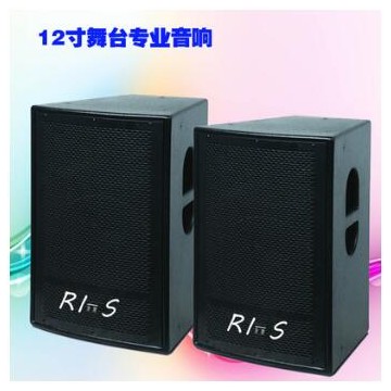 RI-S(源声）演出舞台专业音响 婚庆音箱 商务会议定阻喇叭 工厂店