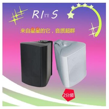 RI-S(源声） 2分频挂壁音响 会议喇叭挂装公共广播音箱