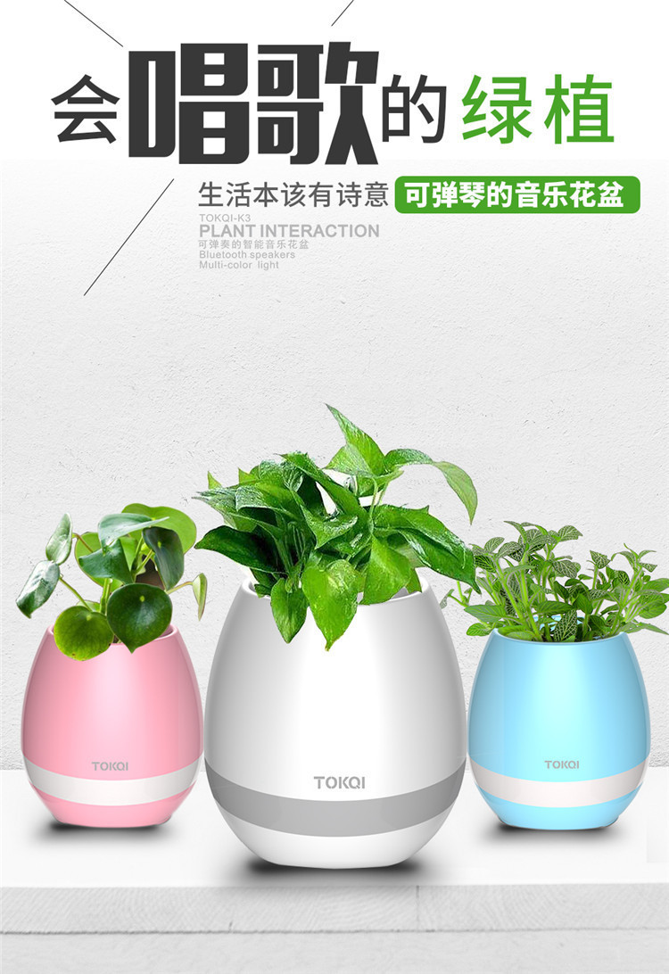 音乐花盆1