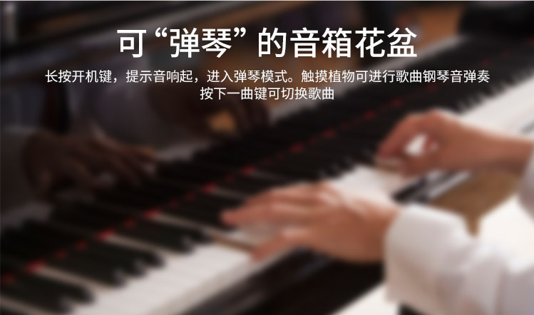 音乐花盆 (17)