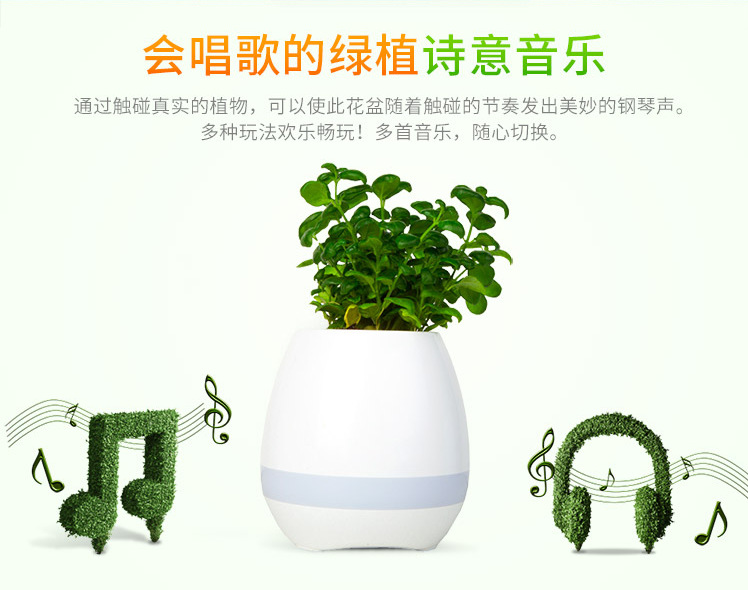 音乐花盆 (14)