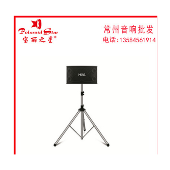 Hivi/惠威 KX1000 卡拉OK音响 专业音箱 家用k歌 舞台会议正品