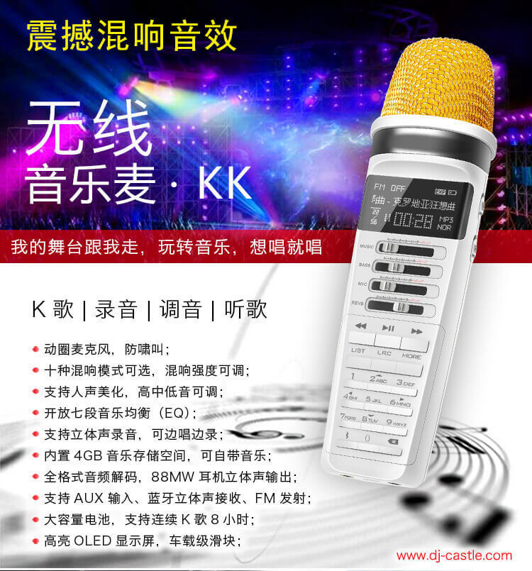 麦克风详情1