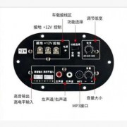 低音炮功放大功率 12V或24V汽车改装功放12v24V 选配插卡蓝牙功放