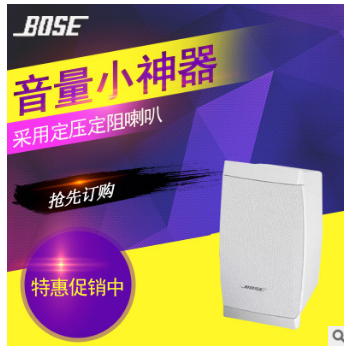 正品原装 美国Bose博士 100SE 背景音乐音箱会议音箱定压定阻喇叭图2