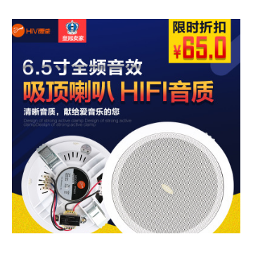 Hivi/惠威 TD202吸顶喇叭背景音乐
