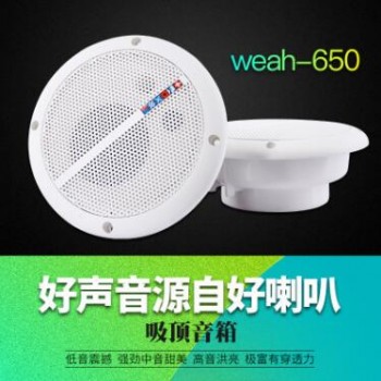 防水音箱 吸顶音箱 广播音箱 家居音箱 游艇定做全频音响WEAH-65