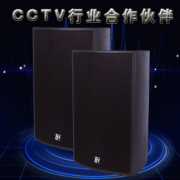 成都实体店供应博厚用于专业KTV音响（TB-10)