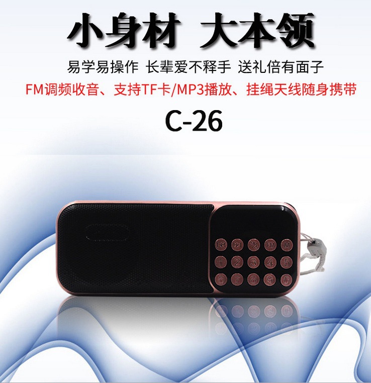 金正 C26-2