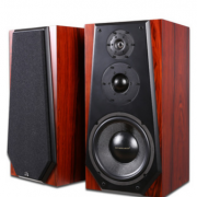 爱嘉T1013发烧10寸HiFi音箱采用惠威ST10 SS1ii喇叭