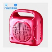 天意新款T-2068大功率扩音器 40W扬声器/老年娱乐大功率扩音器