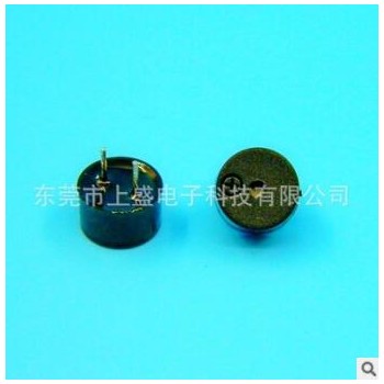 厂家供应高品质蜂鸣器 1707mm 12095mm 12085mm有源 无源蜂鸣器图3