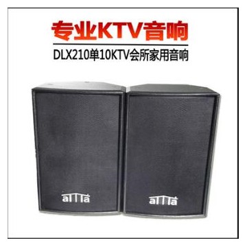 德立信 DLX210全频音响10寸 舞台演出会议家庭 KTV 酒吧 专业音响