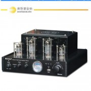 NE10S 蓝牙发烧hifi胆机电子管家庭功放机前胆后石USB功率放大器