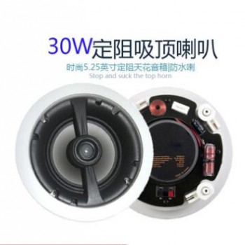 厂家热销背景音乐主机天花吸顶同轴带分频器5.25寸喇叭扬声器