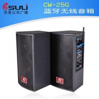 CW-25G 蓝牙无线音箱 公共广播 智能广播 蓝牙教学系统 音箱