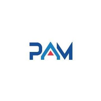 D类音频放大器（PAM8303/PAM8403/PAM8403）
