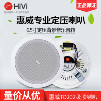 Hivi/惠威 TD202吸顶喇叭店铺背景音乐天花音响室内吊顶天花音箱