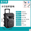 厂家直销贝英皇户外电瓶音响8寸拉杆蓝牙音响广场舞移动音箱