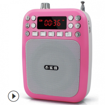 工厂批发小蜜蜂M301插卡扩音器喊话器收音机图2