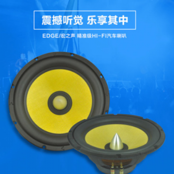 12寸汽车喇叭扬声器盆型300W大功率强悍中音混合超重低音喇叭厂家