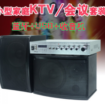 哈乐迪KTV音响家庭电视音箱家用卡拉OK会议工程学校批发专业套装图3