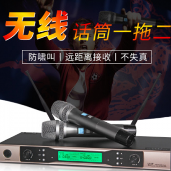 专业无线麦克风 一拖二家庭娱乐会议室舞台演出U段调频 无线话筒图2