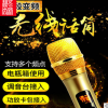工厂货源无线话筒一拖二家用ktv会议卡拉Ok金属U段调频麦克风批发