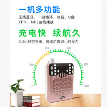 先科小蜜蜂扩音器多功能教师专用蓝牙扩音机喊话导游插卡唱戏机播图3