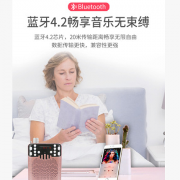 先科小蜜蜂扩音器多功能教师专用蓝牙扩音机喊话导游插卡唱戏机播图2