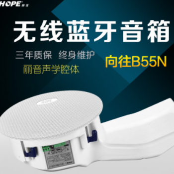 向往 B55N家用定阻同轴无线蓝牙吸顶音响天花吊顶喇叭套装