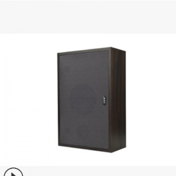 逗音者 壁挂喇叭扬声器家庭影院会议室内办公室消防536/10W图3