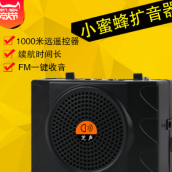 大功率教师扩音器老年听戏唱戏机带麦克风混响mp3捕鸟播放器图3