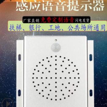 厂家直销安全提示器红外人体感应语音提示智能提醒播放器WN-201K