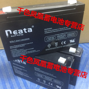 能特NEATA蓄电池 NT6-7.0 6v7.0ah儿童遥控电动车电动 玩具车电池