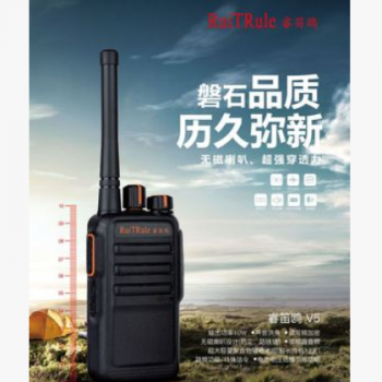 厂家供应 睿笛鸥V5对讲机 大量现货批发图2