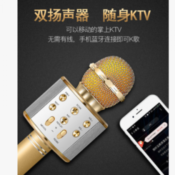 WS858手机K歌宝全民K歌无线家用麦克风蓝牙话筒自带音响一体新款图2