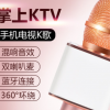 YS-11厂家直销无线蓝牙音箱麦克风 掌上KTV 手机唱吧话筒