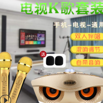 全民k歌sd-306智能儿童唱吧卡拉ok无线带蓝牙话筒音响一体麦克风图3