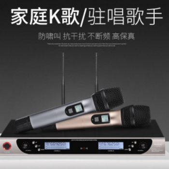 新款无线一拖二话筒 KTV 演出会议音响配套无线麦克风 U-8008图2