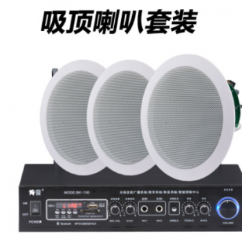 德立信厂直销6.5寸无线壁挂音响会议公共广播家用吸顶式天花喇叭图2