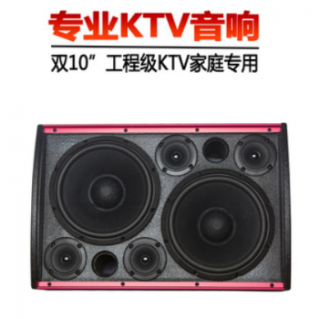 双10寸KTV包房音箱家庭音箱套装舞蹈室教室舞台音箱点歌机图3