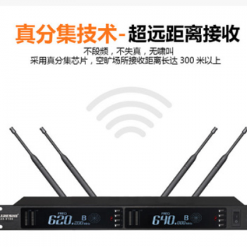一拖二无线演出话筒静音真分集U段专业大型户外舞台无线麦克风图3