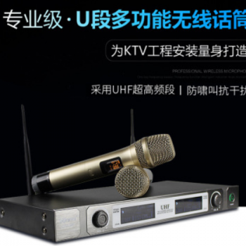 专业无线话筒一拖二 家用k歌话筒 演出防啸叫手持无线麦克风ktv图2